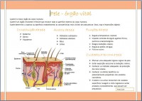 /album/galeria-de-fotos/poster-pele-jpg/